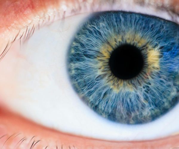 Person relaxing eyes with soft light and closed lids